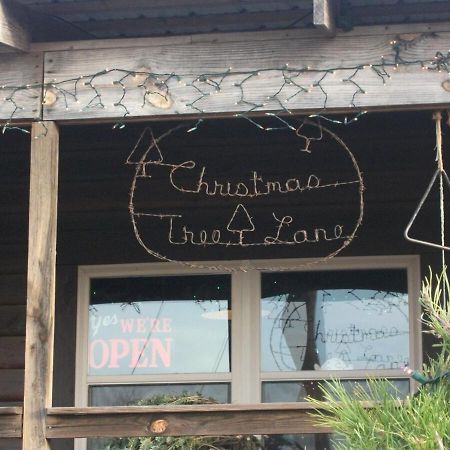 Rural Life On A Real Christmas Tree Farm! Hallmark Experience! Ozark ภายนอก รูปภาพ