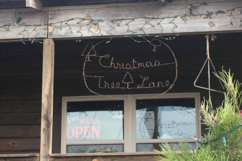 Rural Life On A Real Christmas Tree Farm! Hallmark Experience! Ozark ภายนอก รูปภาพ