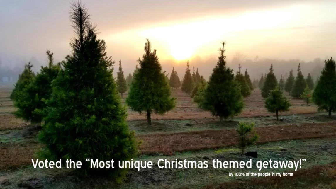 Rural Life On A Real Christmas Tree Farm! Hallmark Experience! Ozark ภายนอก รูปภาพ