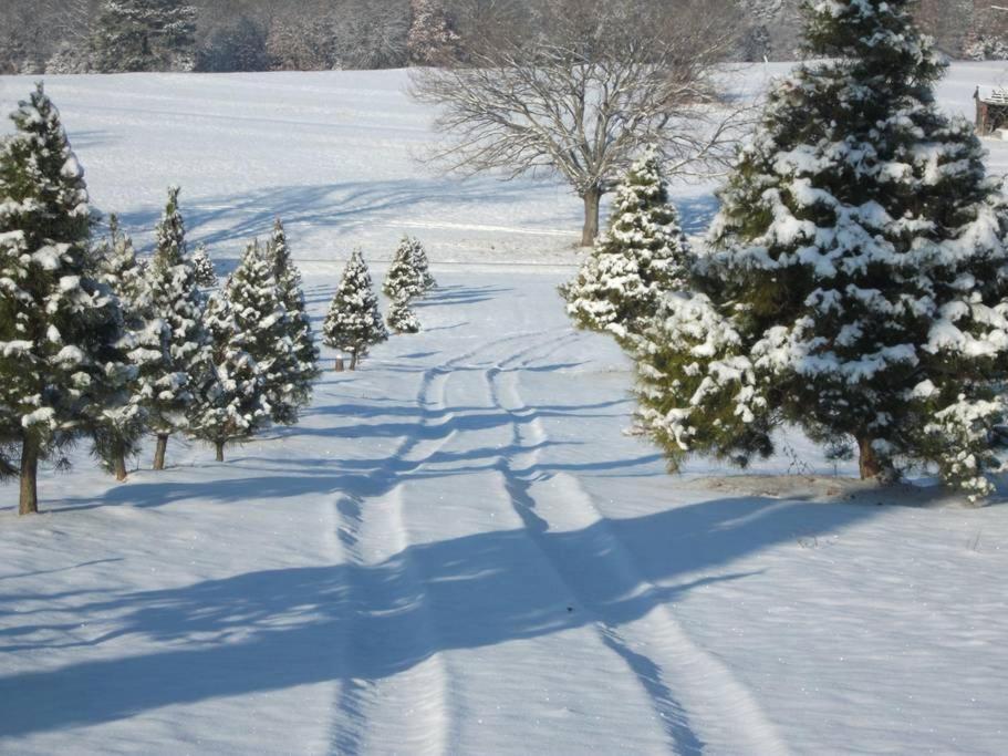 Rural Life On A Real Christmas Tree Farm! Hallmark Experience! Ozark ภายนอก รูปภาพ