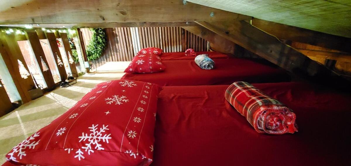 Rural Life On A Real Christmas Tree Farm! Hallmark Experience! Ozark ภายนอก รูปภาพ